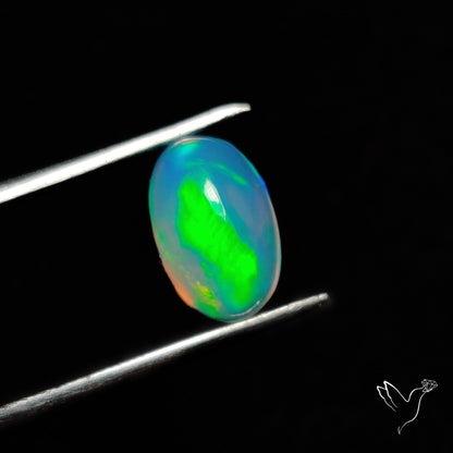AAA Ethiopian Welo Opal Small