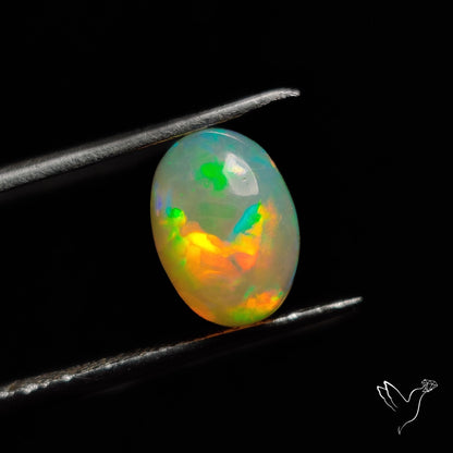 AAA Ethiopian Welo Opal Small