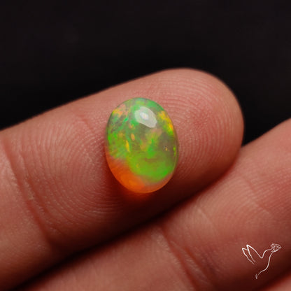 AAA Ethiopian Welo Opal Small