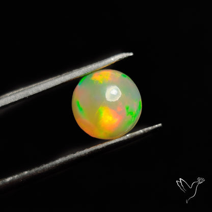 AAA Ethiopian Welo Opal Small