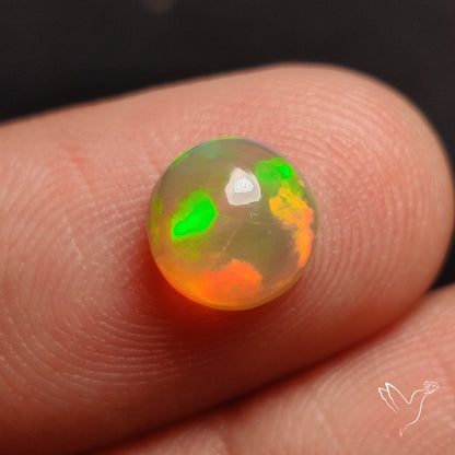 AAA Ethiopian Welo Opal Small