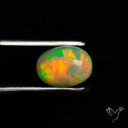 AAA Ethiopian Welo Opal Small