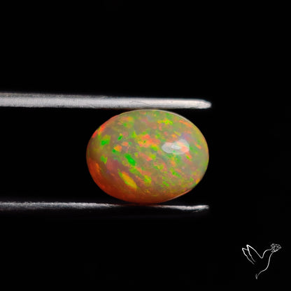 AAA Ethiopian Welo Opal Small