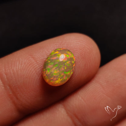 AAA Ethiopian Welo Opal Small