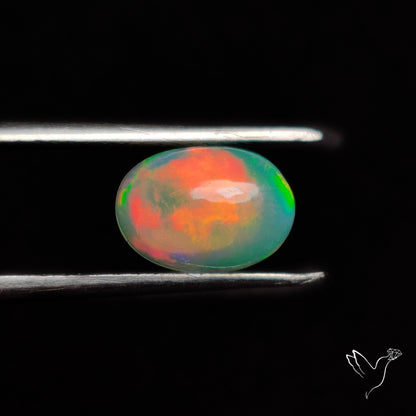 AAA Ethiopian Welo Opal Small