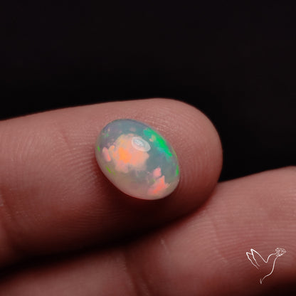 AAA Ethiopian Welo Opal Small