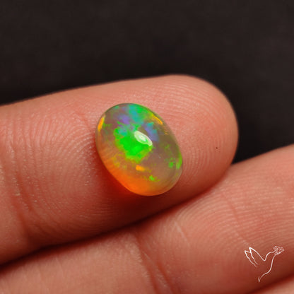 AAA Ethiopian Welo Opal Small