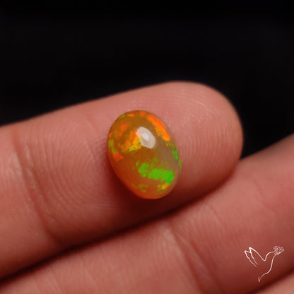 AAA Ethiopian Welo Opal Small