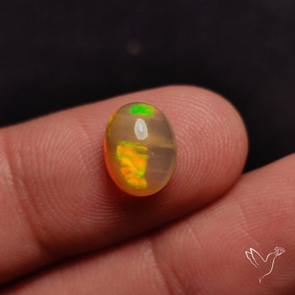 AAA Ethiopian Welo Opal Small