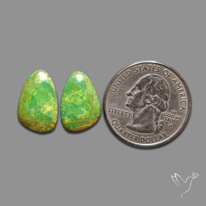 Gaspeite Pair