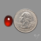 Gem Hessonite Garnet Cabochon