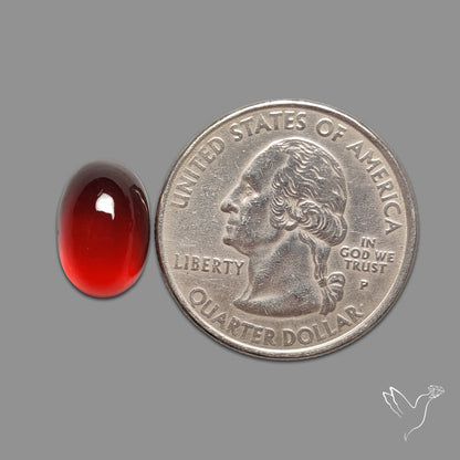 Gem Hessonite Garnet Cabochon