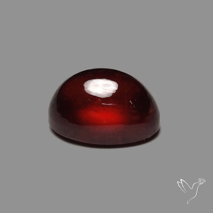 Gem Hessonite Garnet Cabochon