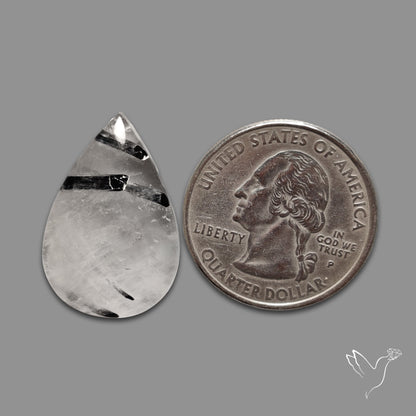 Black Tourmaline In Quartz Cabochon