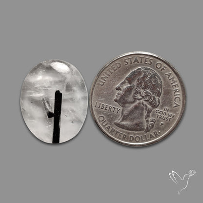 Black Tourmaline In Quartz Cabochon