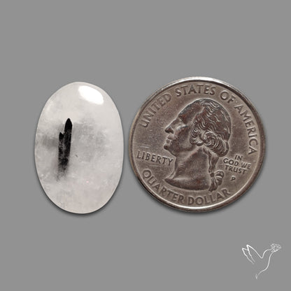 Black Tourmaline In Quartz Cabochon