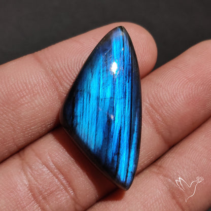 Deep Blue Labradorite Cabochon