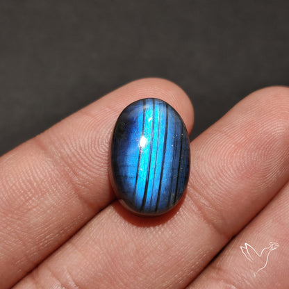 Deep Blue Labradorite Cabochon