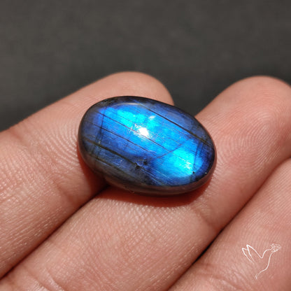 Deep Blue Labradorite Cabochon
