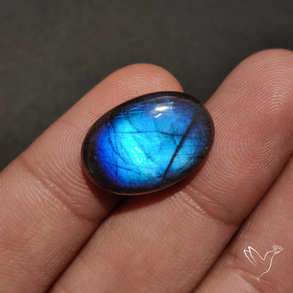 Deep Blue Labradorite Cabochon