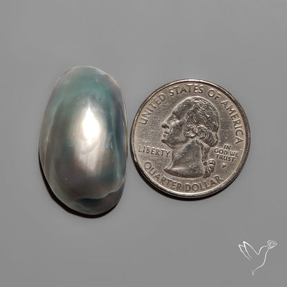 Mabe Pearl Backed