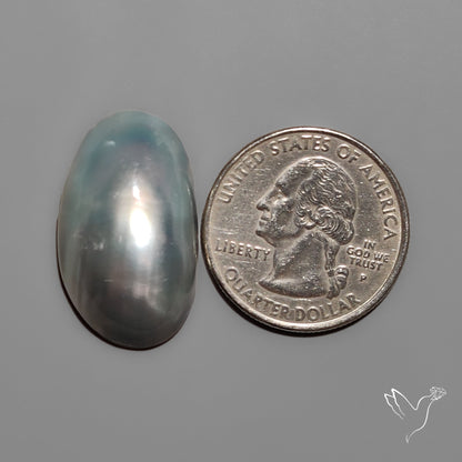 Mabe Pearl Backed