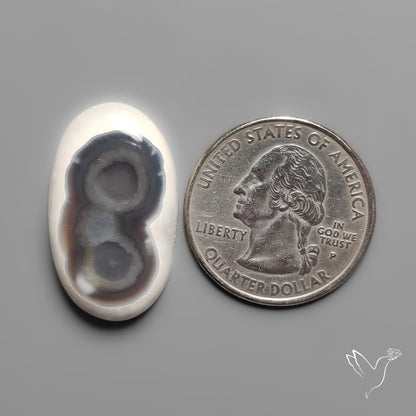 Shiva Eye Solar Quartz Cabochon