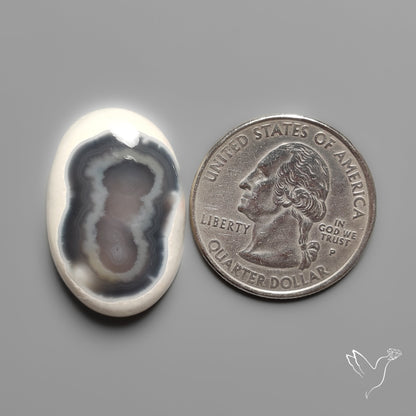 Shiva Eye Solar Quartz Cabochon