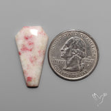 Cinnabar Coffin