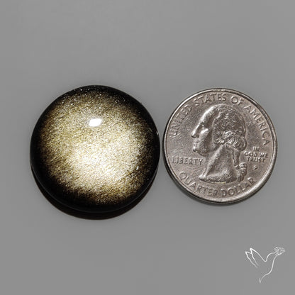 Goldsheen Obsidian Cabochon