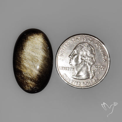 Goldsheen Obsidian Cabochon
