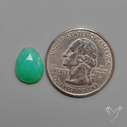 Rose Cut Gemmy Chrysoprase