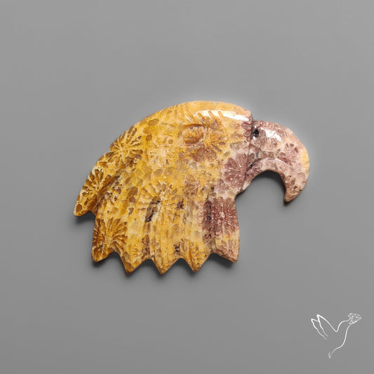 Fossil Coral Eagle Head Carving