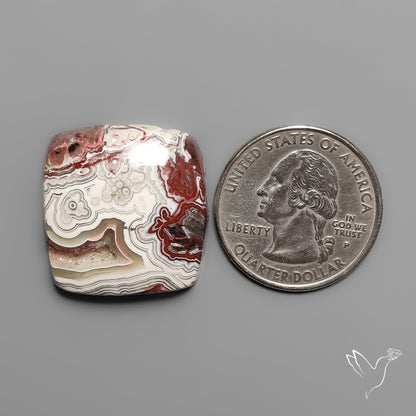 Laguna Lace Agate Cabochon