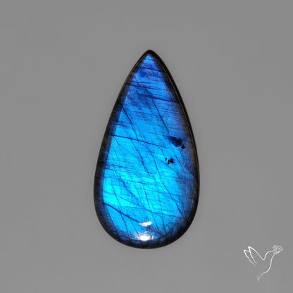 Deep Blue Spetrolite Cabochon