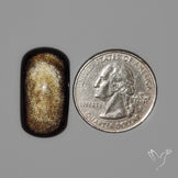 Goldsheen Obsidian Cabochon