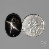 Black Star Diopside Cabochon