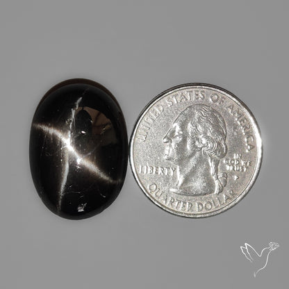 Black Star Diopside Cabochon