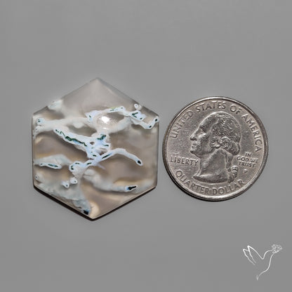 White Horse Canyon Moss Agate Cabochon