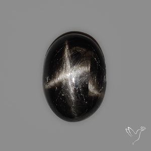 Black Star Diopside Cabochon