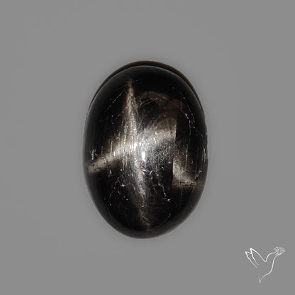 Black Star Diopside Cabochon