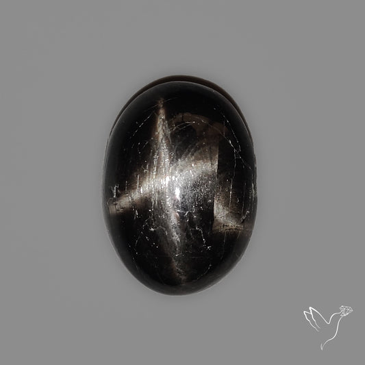 Black Star Diopside Cabochon