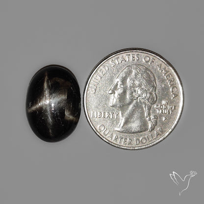 Black Star Diopside Cabochon