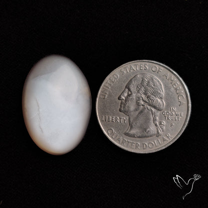 Gray Moonstone Cabochon