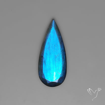 Portrait Cut Blue Labradorite Flat Backed