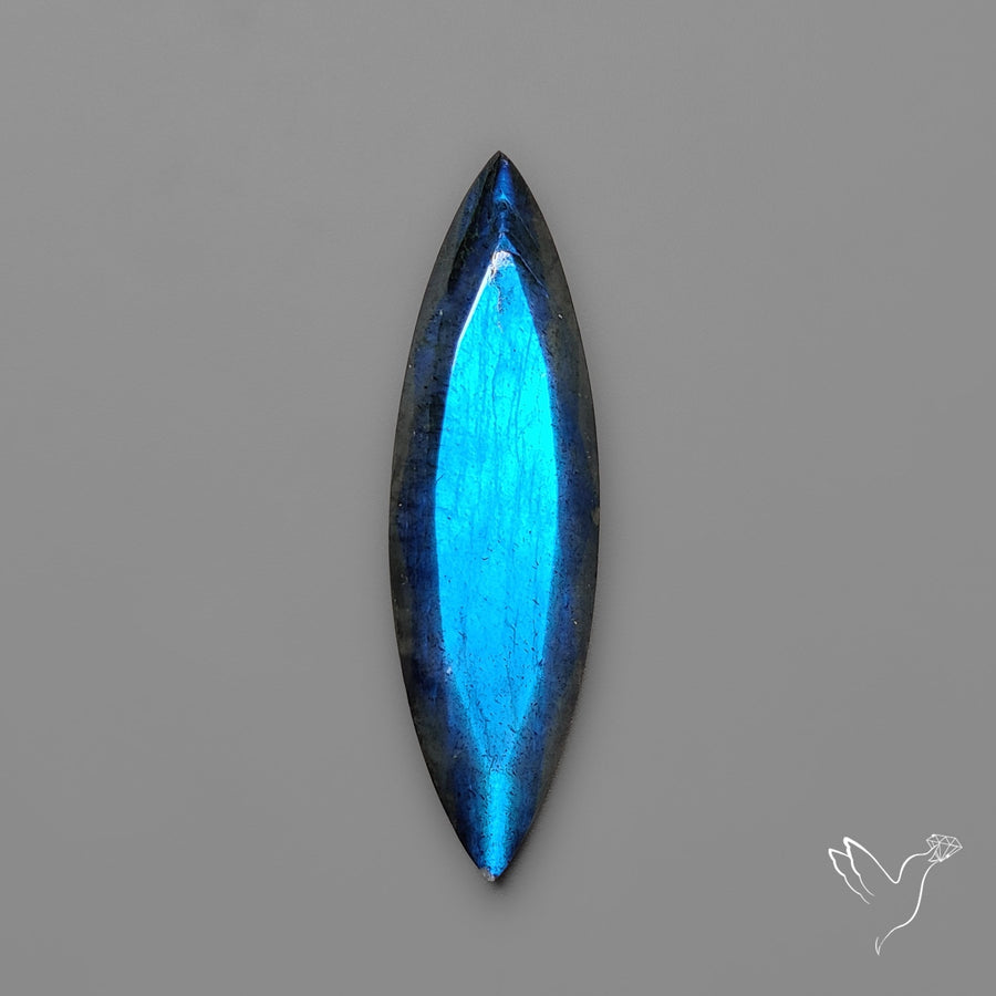 Portrait Cut Blue Labradorite Flat Backed