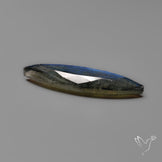 Portrait Cut Blue Labradorite Flat Backed