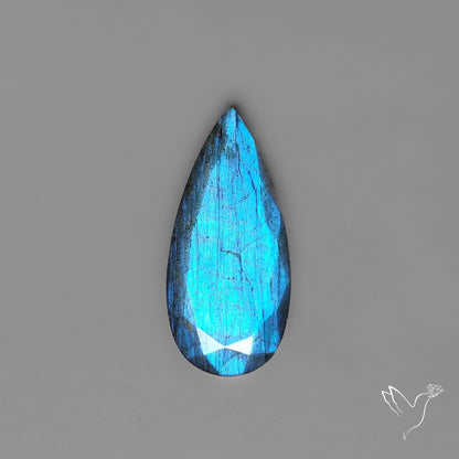 Portrait Cut Blue Labradorite Flat Backed