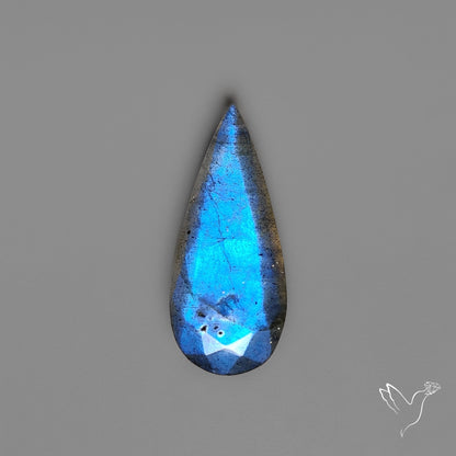 Portrait Cut Blue Labradorite Flat Backed