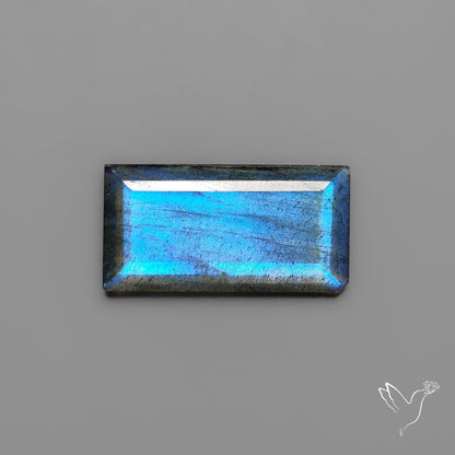 Portrait Cut Blue Labradorite Flat Backed